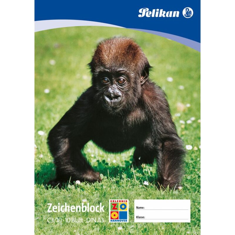 Pelikan Drawing Pad C4/10 – A4 Sketchbook With 10 Sheets, 100 Gsm, For Wet & Dry Techniques - View #2