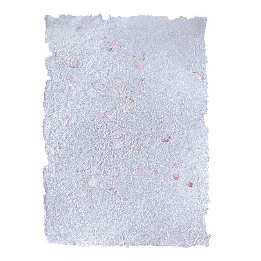 Papier-Schöpfrahmen , 30 x 21 cm     - Bild 01