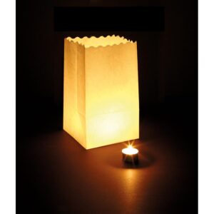 10 Lichtertüten, klein     - Bild 00