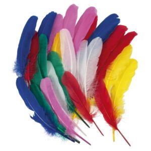 Indianerfedern, bunt gemischt     - Bild 00