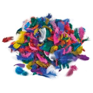 Federn-Mix     - Bild 00