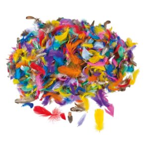 Federn-Mixpack, XL     - Bild 00