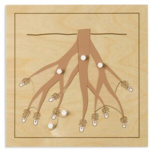 Botanik-Puzzle Wurzel     - Bild 00