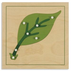 Botanik-Puzzle Blatt     - Bild 00