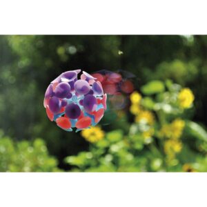 Saugball     - Bild 00