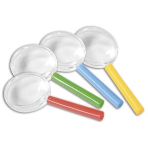 Bunte Lupen, 8er-Set     - Bild 00