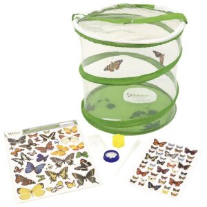 Schmetterlings-Zuchtset     - Bild 00