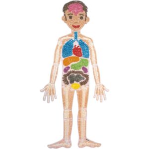 PlayMais Anatomiepuzzle     - Bild 00